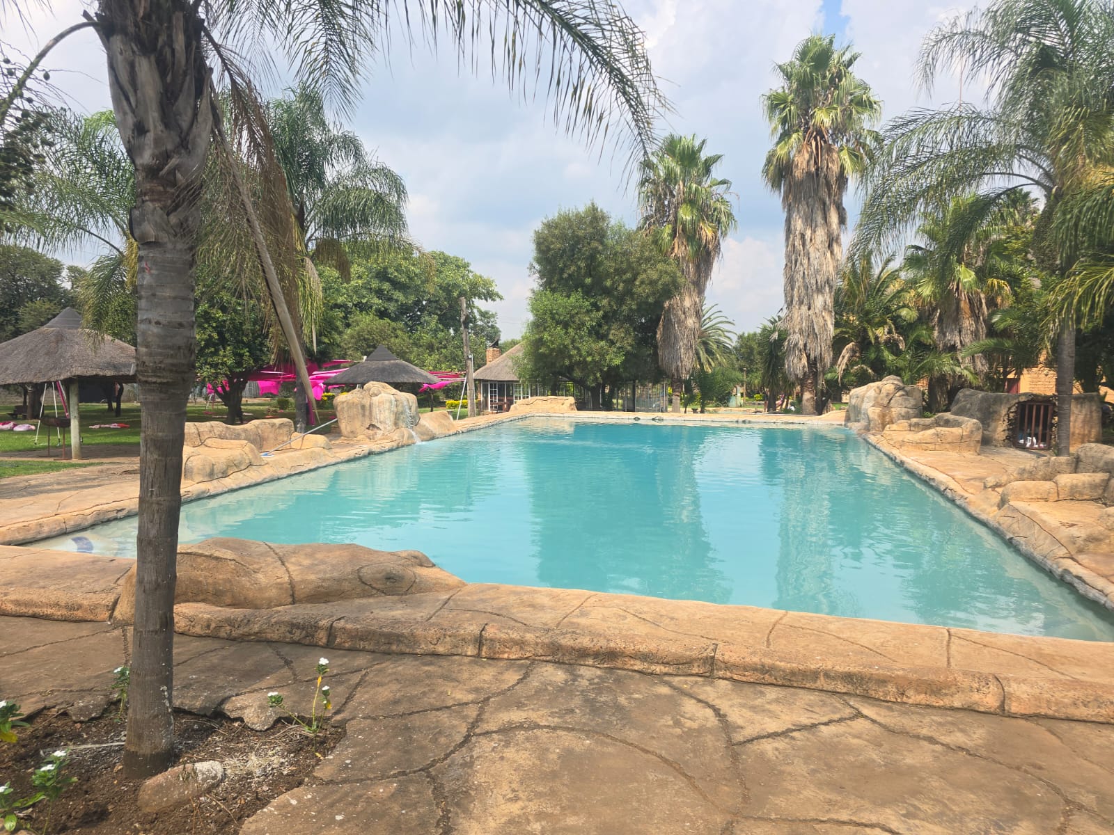 The rock-edged swimming pool at Kuhle Lodge framed by palm trees